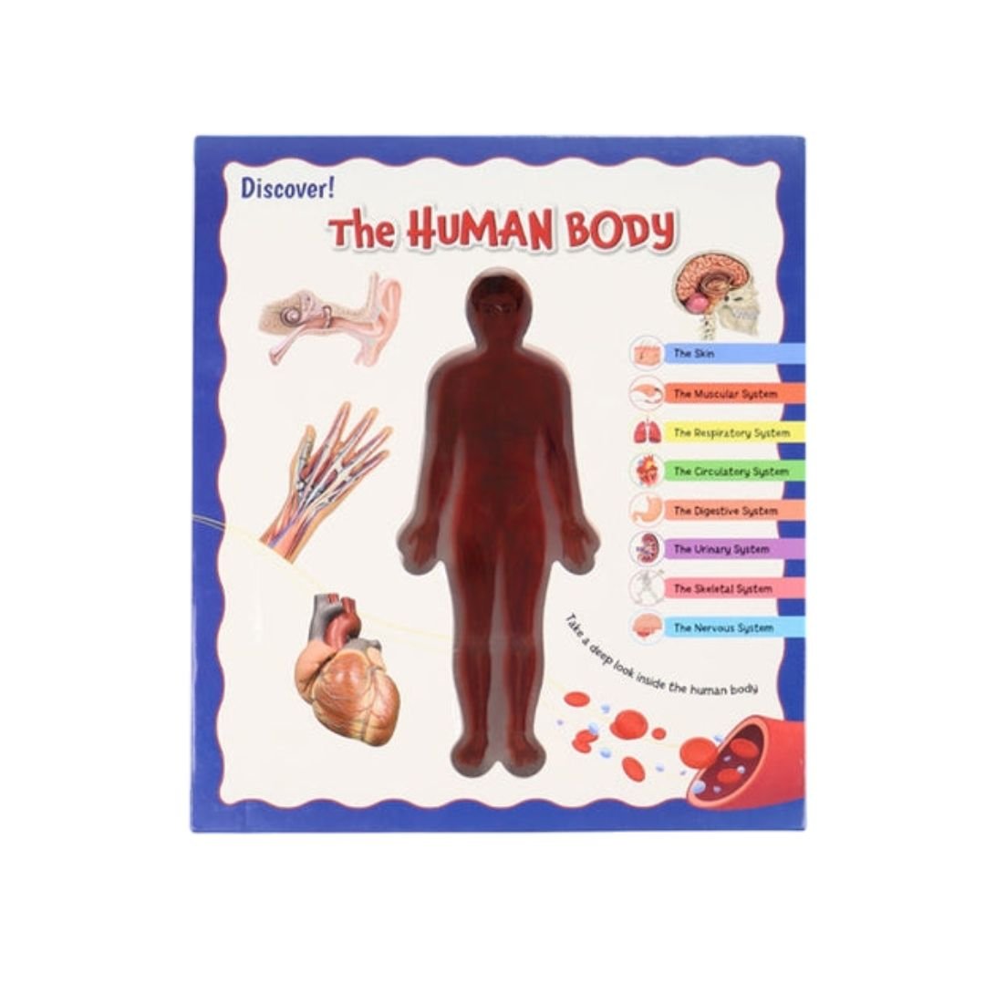 Discover the Human Body - English Edition | Educational Books For Kids - Fun Learning Store