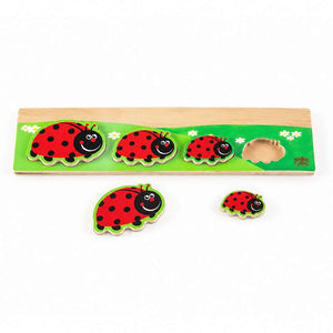 Discover Who's Bigger - Ladybird: A Fun Exploration of Sizes! - Fun Learning Store