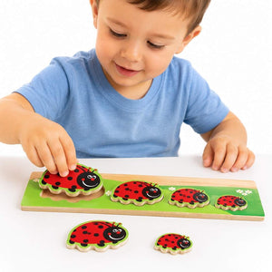 Discover Who's Bigger - Ladybird: A Fun Exploration of Sizes! - Fun Learning Store