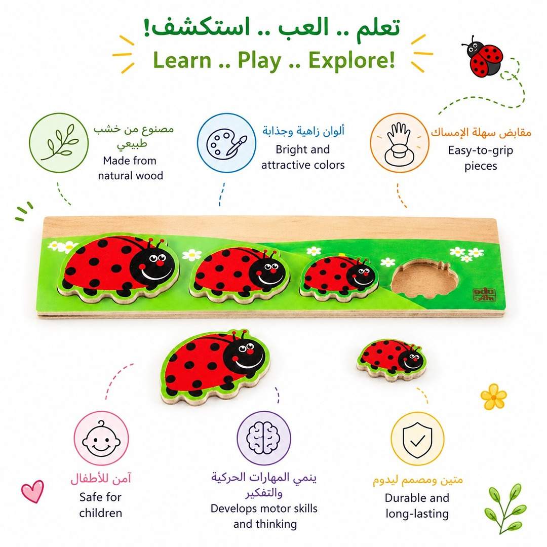 Discover Who's Bigger - Ladybird: A Fun Exploration of Sizes! - Fun Learning Store