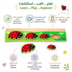 Discover Who's Bigger - Ladybird: A Fun Exploration of Sizes! - Fun Learning Store