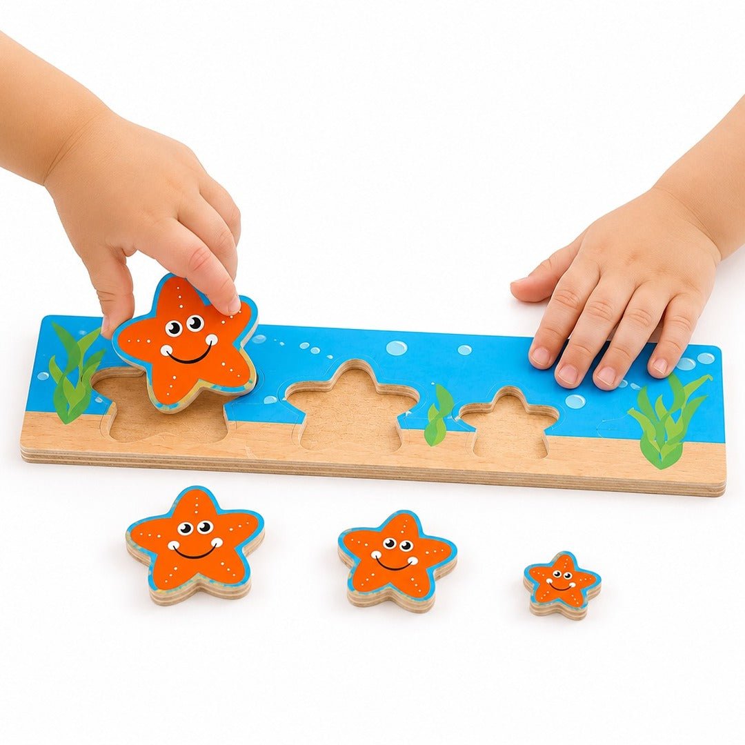 Discover Who's Bigger - Star: Reach for the Stars and Master Sizes! - Fun Learning Store