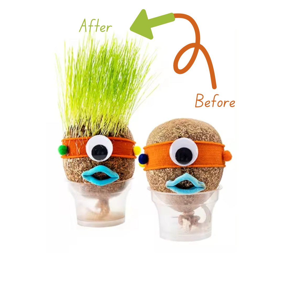 DIY Grass Doll Growing Craft | Eco - Friendly Craft Gift for Kids - Fun Learning Store