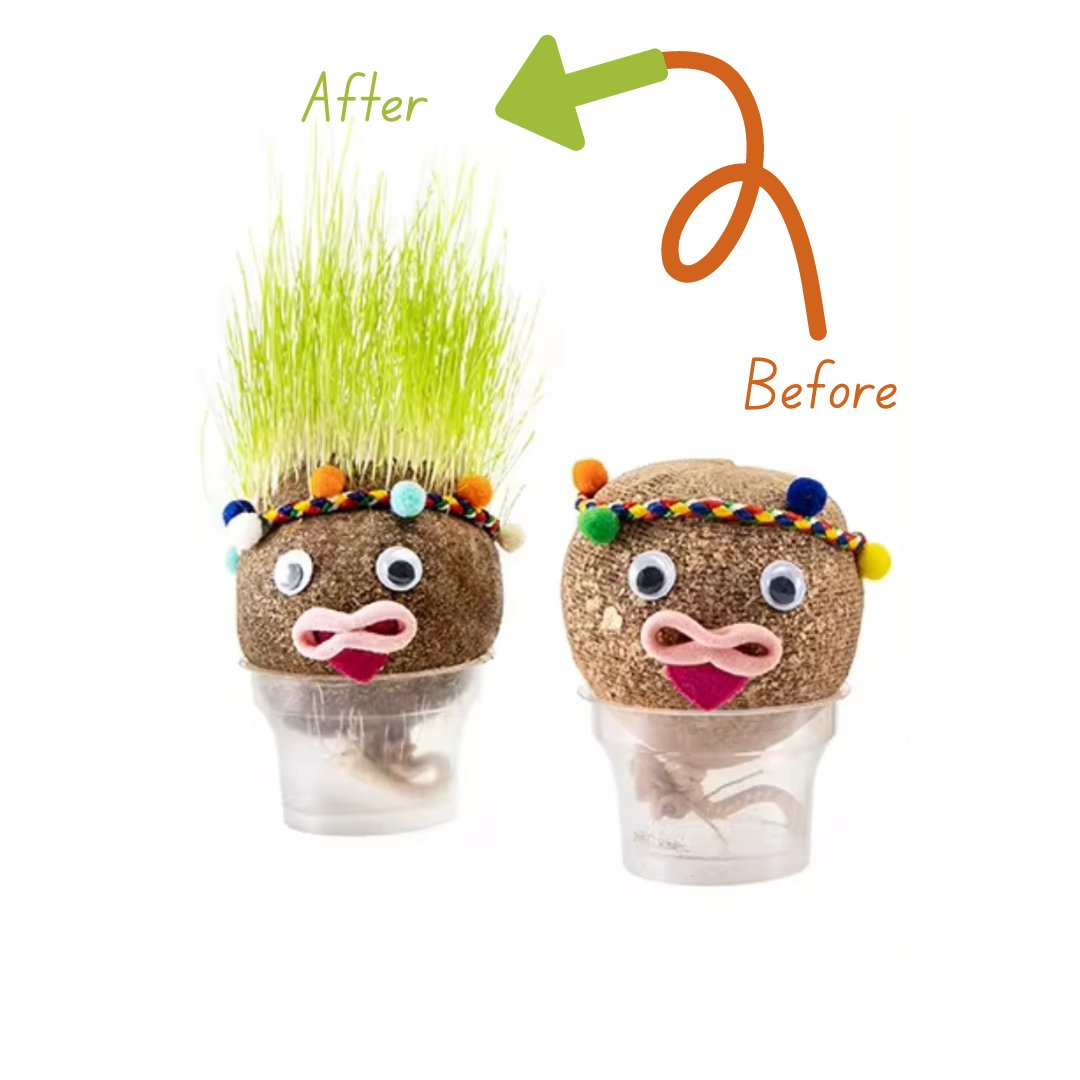 DIY Grass Doll Growing Craft | Eco - Friendly Craft Gift for Kids - Fun Learning Store