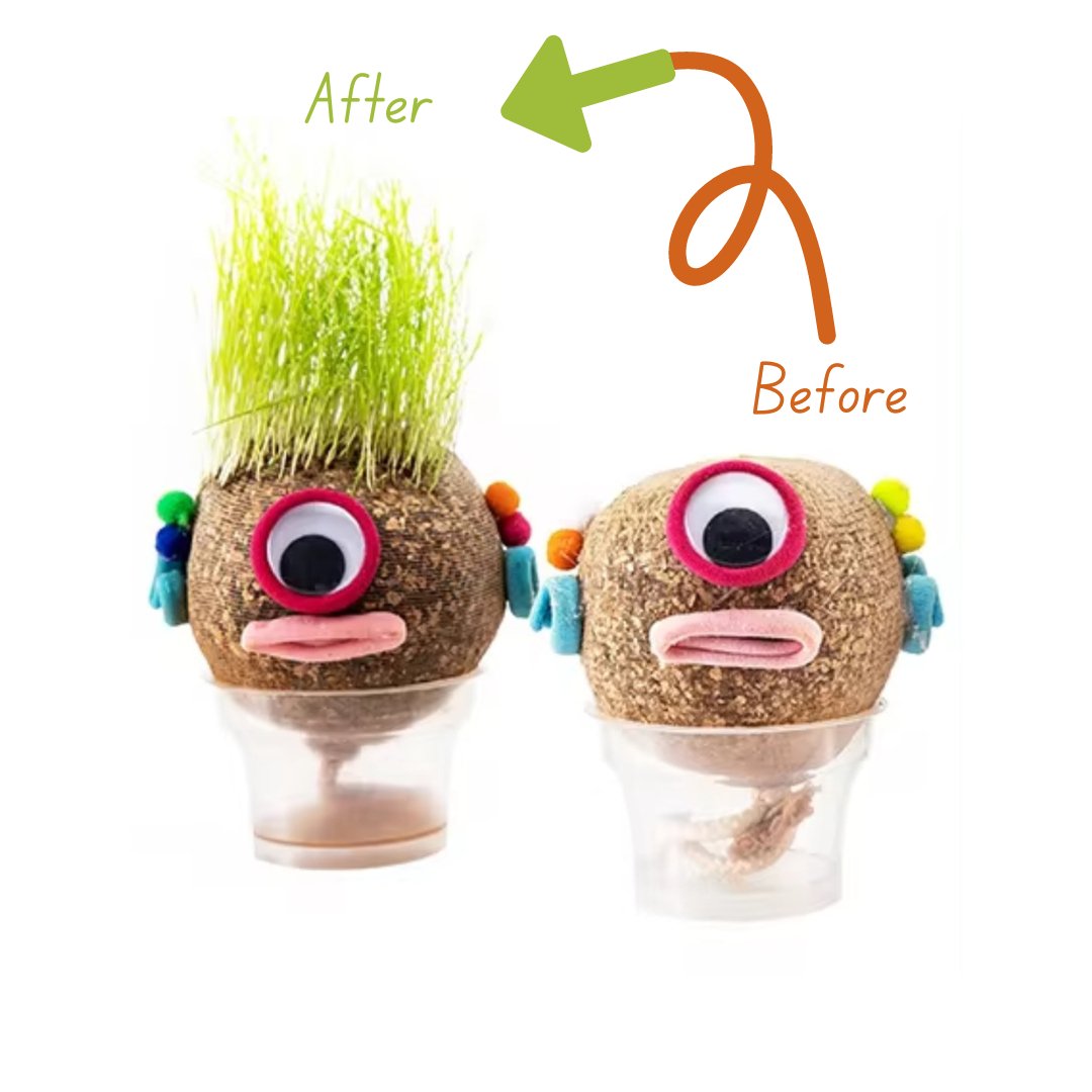 DIY Grass Doll Growing Craft | Eco - Friendly Craft Gift for Kids - Fun Learning Store