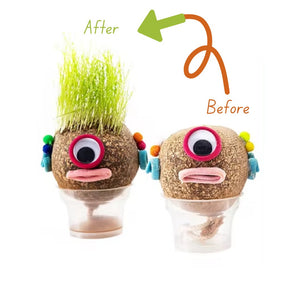 DIY Grass Doll Growing Craft | Eco - Friendly Craft Gift for Kids - Fun Learning Store