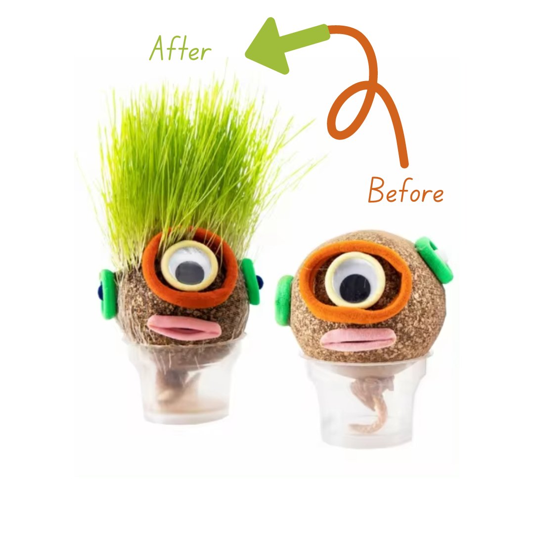 DIY Grass Doll Growing Craft | Eco - Friendly Craft Gift for Kids - Fun Learning Store