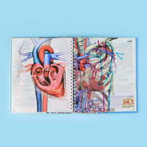 DK Human Body Encyclopedia – Discover the Wonders Within! - Fun Learning Store