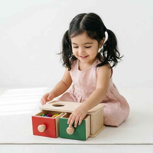 Double Ball Drawer Toy – Develop Matching and Motor Skills - Fun Learning Store