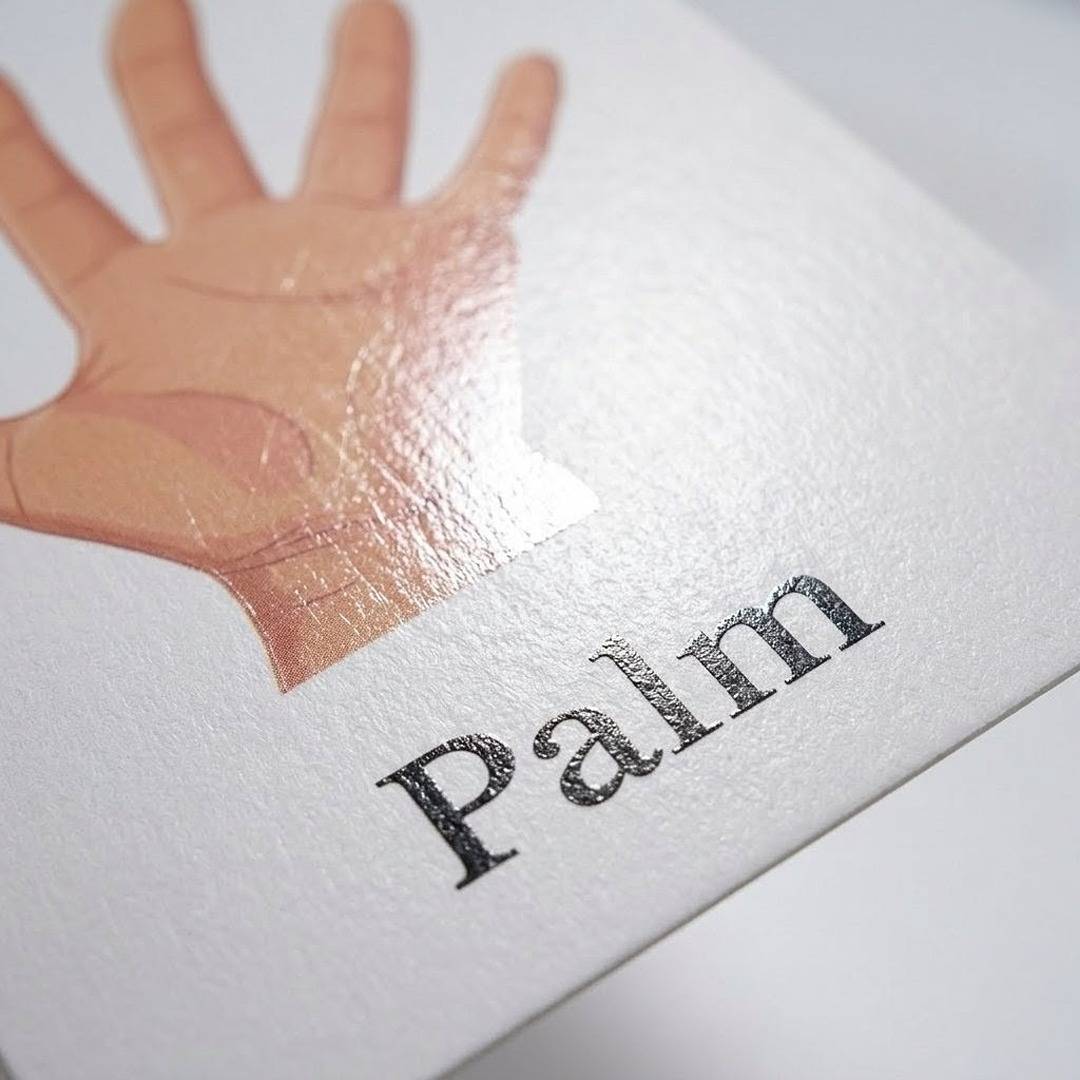 Early Learning Educational Teaching Flash Cards - 36 Pcs | Interactive Learning Tool for Kids | The Body Parts - Fun Learning Store