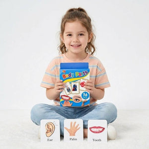Early Learning Educational Teaching Flash Cards - 36 Pcs | Interactive Learning Tool for Kids | The Body Parts - Fun Learning Store