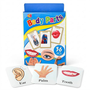 Early Learning Educational Teaching Flash Cards - 36 Pcs | Interactive Learning Tool for Kids | The Body Parts - Fun Learning Store