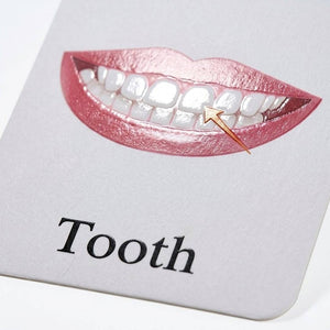 Early Learning Educational Teaching Flash Cards - 36 Pcs | Interactive Learning Tool for Kids | The Body Parts - Fun Learning Store