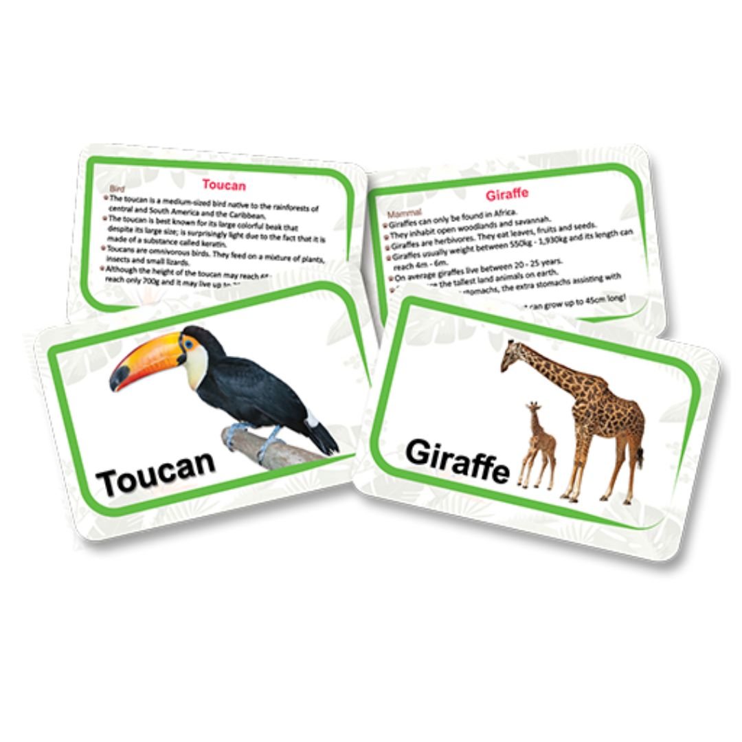 Educational Flash Cards for Kids - Animals Kingdom - Fun Learning Store