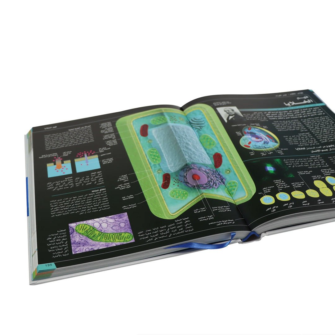 Encyclopedia of Science Year by Year – Explore the Wonders of Science! - Fun Learning Store