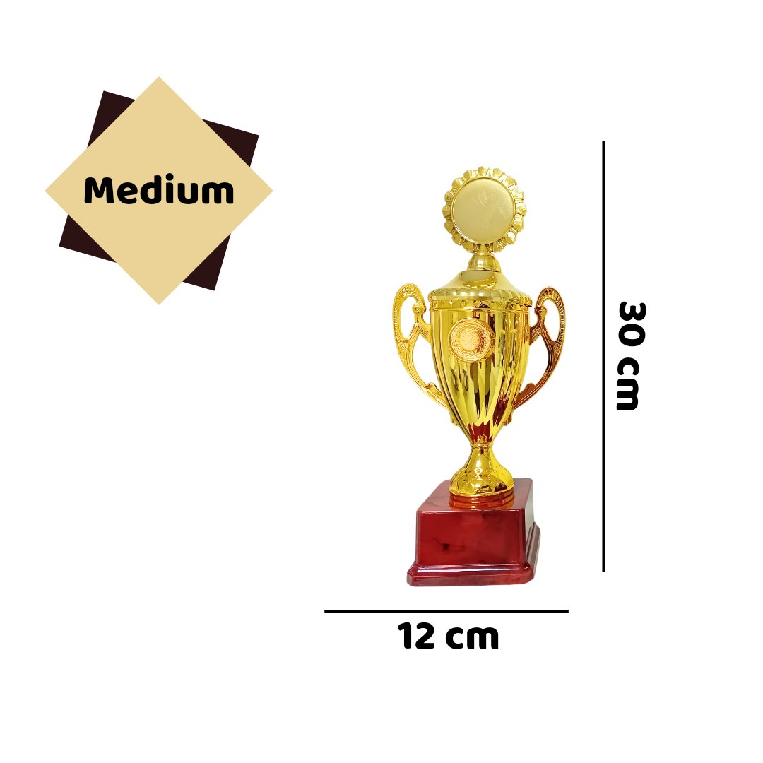 Exquisite Gold Trophy: A Symbol of Achievement and Prestige - Fun Learning Store