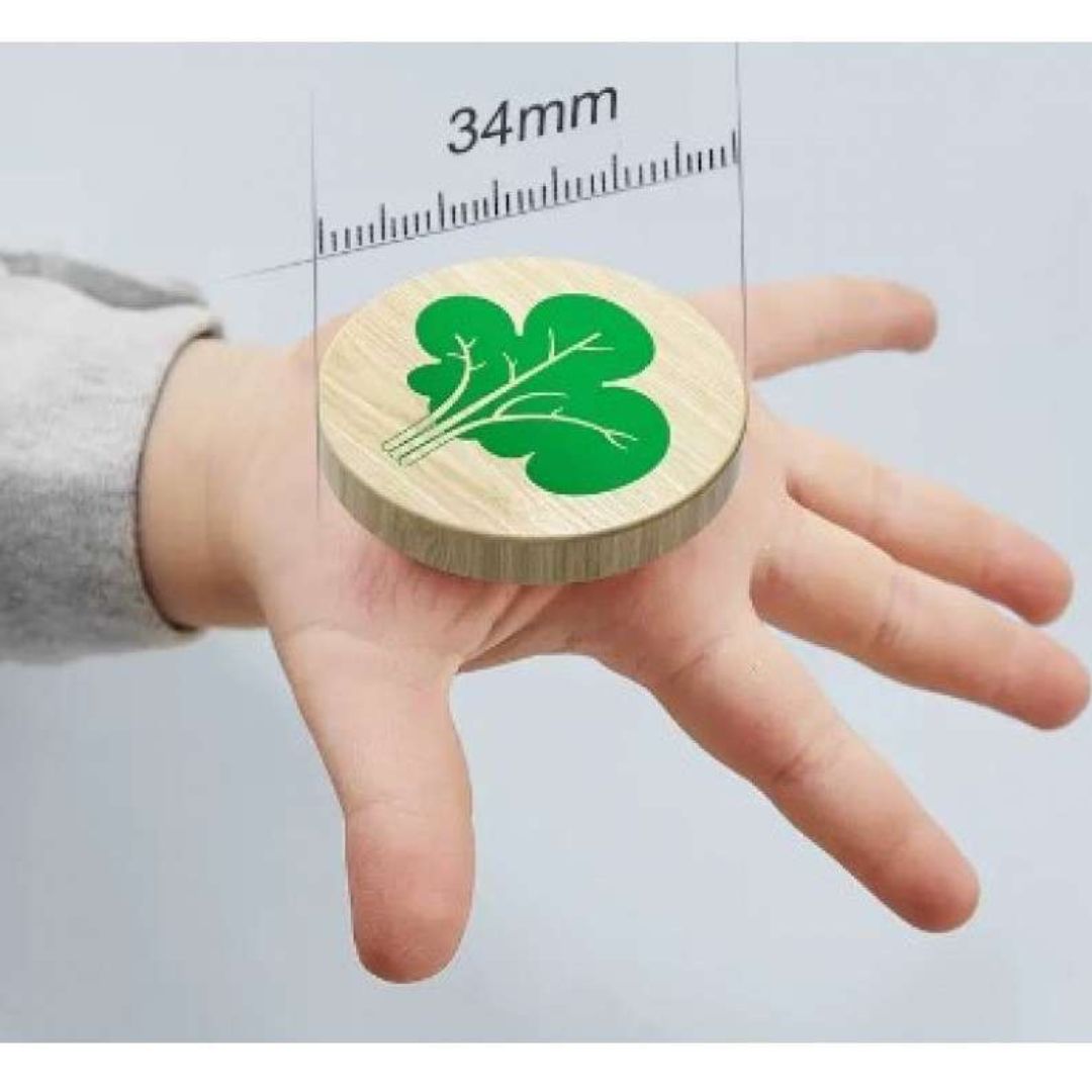 Feed the Goose Baby Motor Skills Set – Creative City Bricks & Fun Coin Box Game for Toddlers - Fun Learning Store