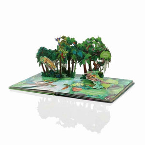 Fun Book Series: Explore the Jungle Animal Kingdom | Interactive Learning Adventure for Kids - Fun Learning Store