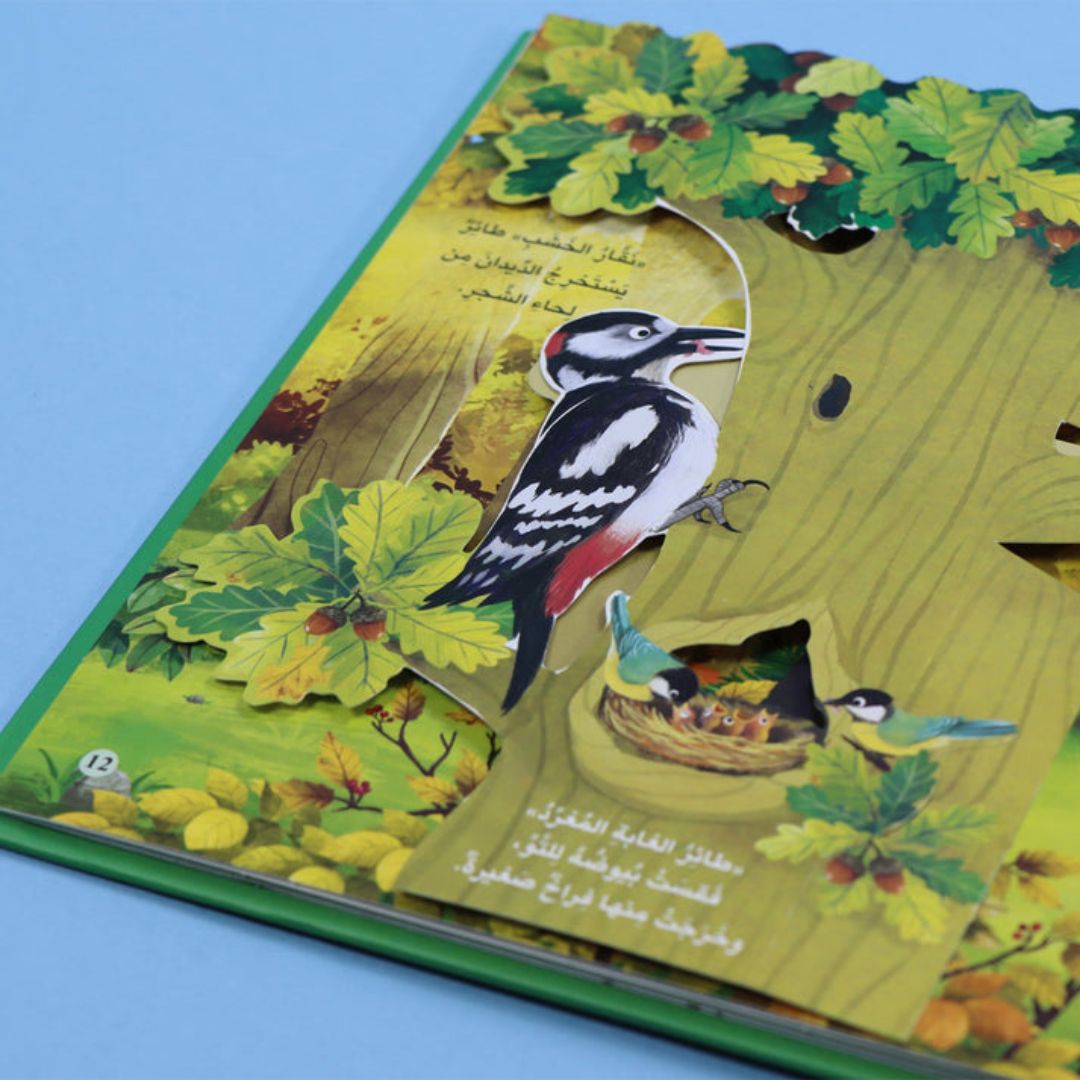 Fun Book Series: Explore the Jungle Animal Kingdom | Interactive Learning Adventure for Kids - Fun Learning Store