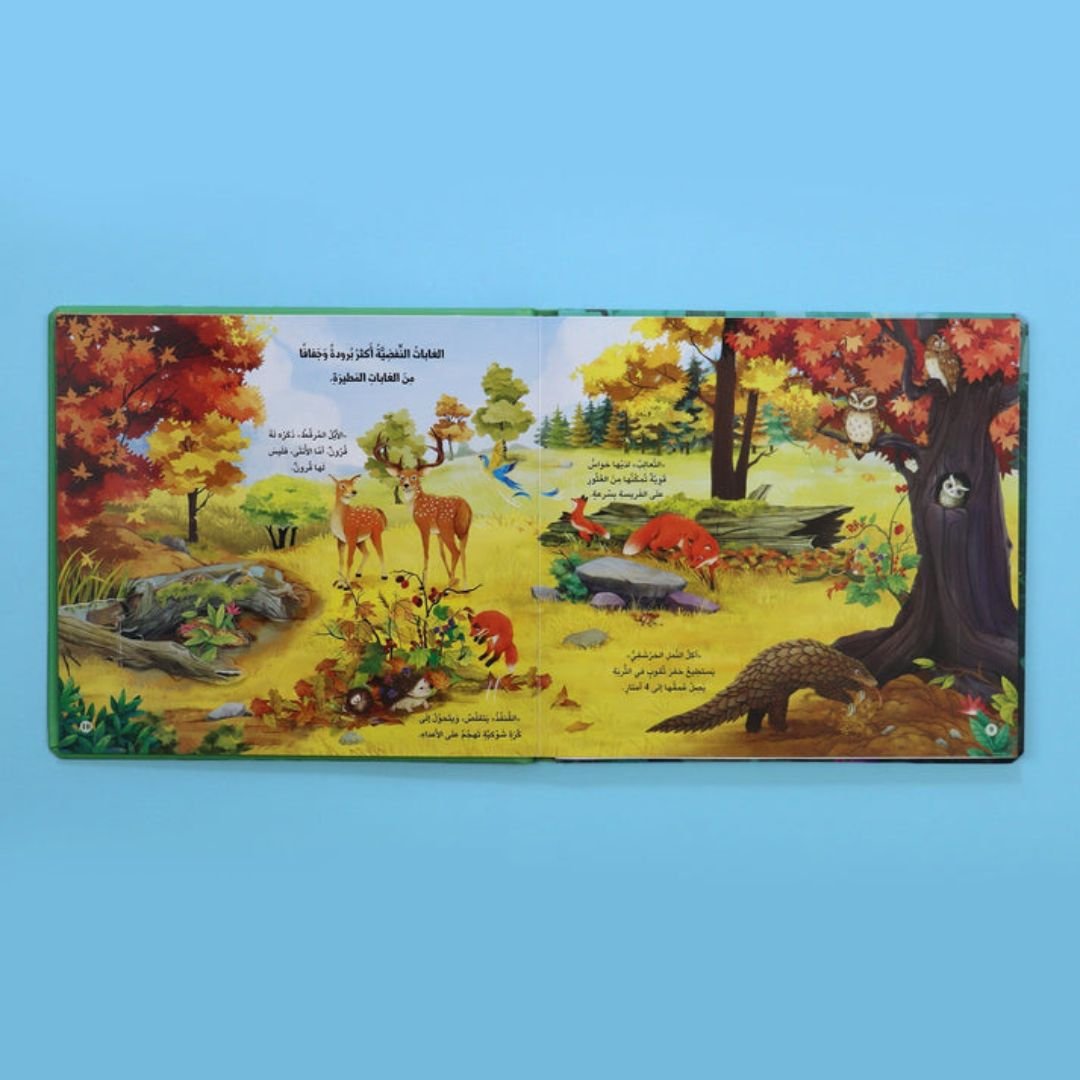 Fun Book Series: Explore the Jungle Animal Kingdom | Interactive Learning Adventure for Kids - Fun Learning Store