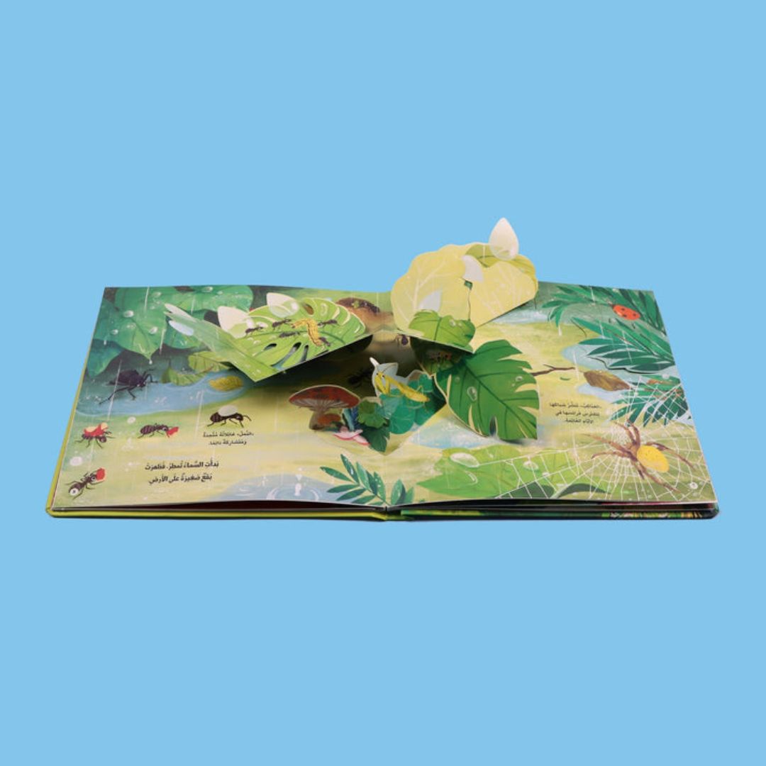 Fun Book Series- Animal Kingdom - insects - Interactive Books for kids ...