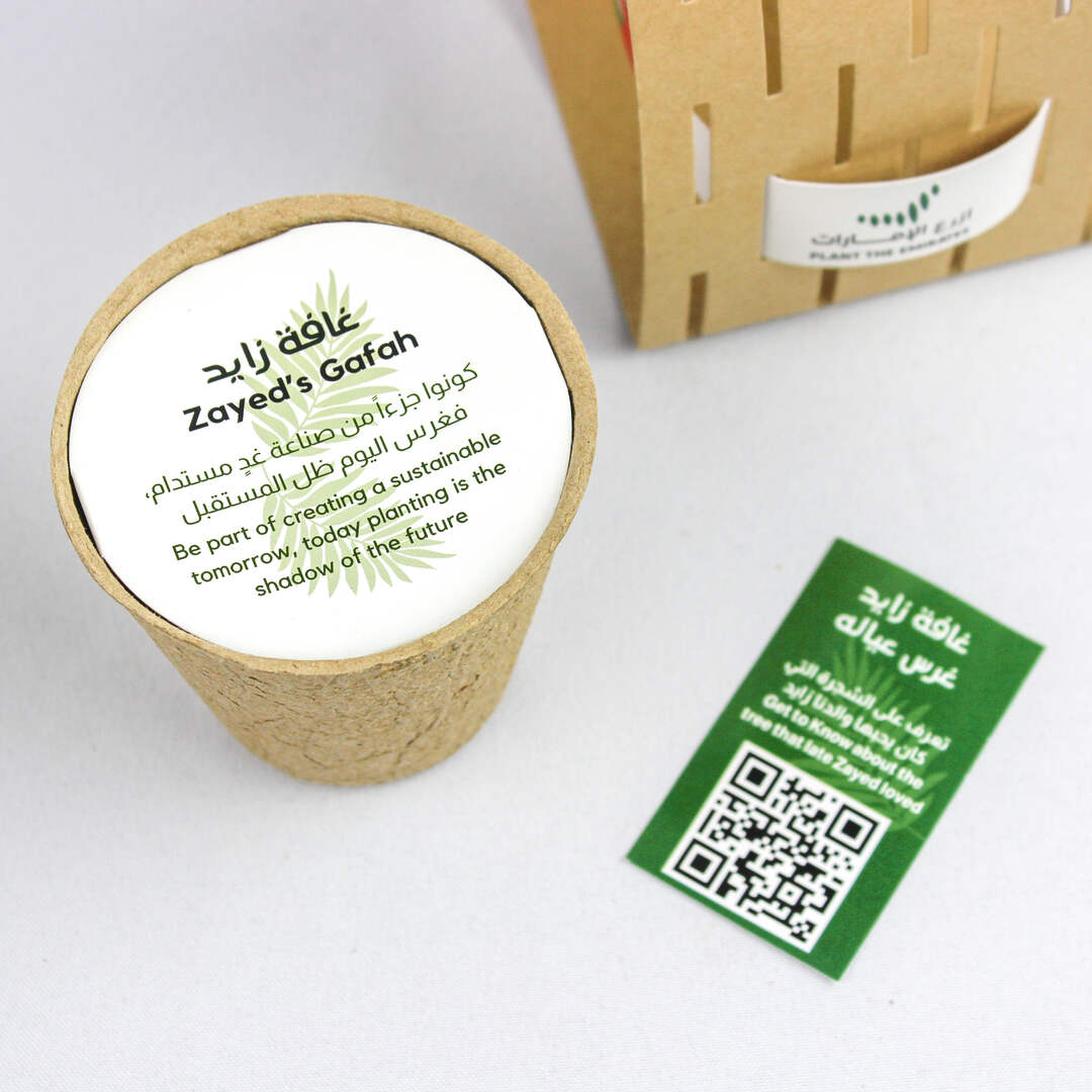 Ghafet Zayed - Sustainable Agricultural Gift Set with Ghaf Tree Seeds - Fun Learning Store