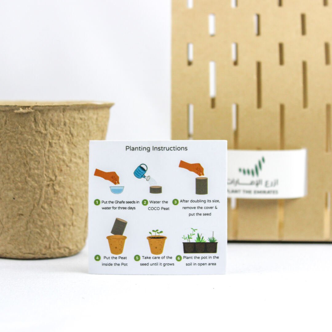 Ghafet Zayed - Sustainable Agricultural Gift Set with Ghaf Tree Seeds - Fun Learning Store