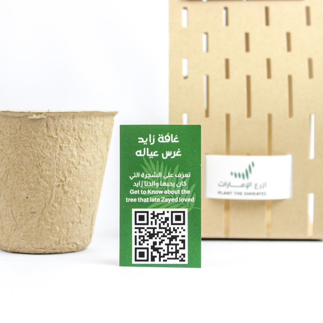 Ghafet Zayed - Sustainable Agricultural Gift Set with Ghaf Tree Seeds - Fun Learning Store