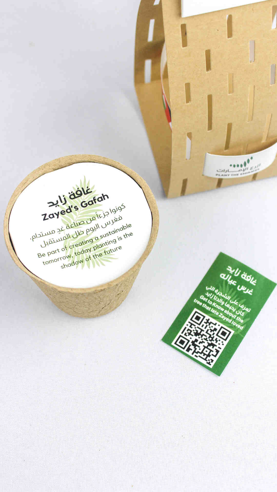 Ghafet Zayed - Sustainable Agricultural Gift Set with Ghaf Tree Seeds - Fun Learning Store