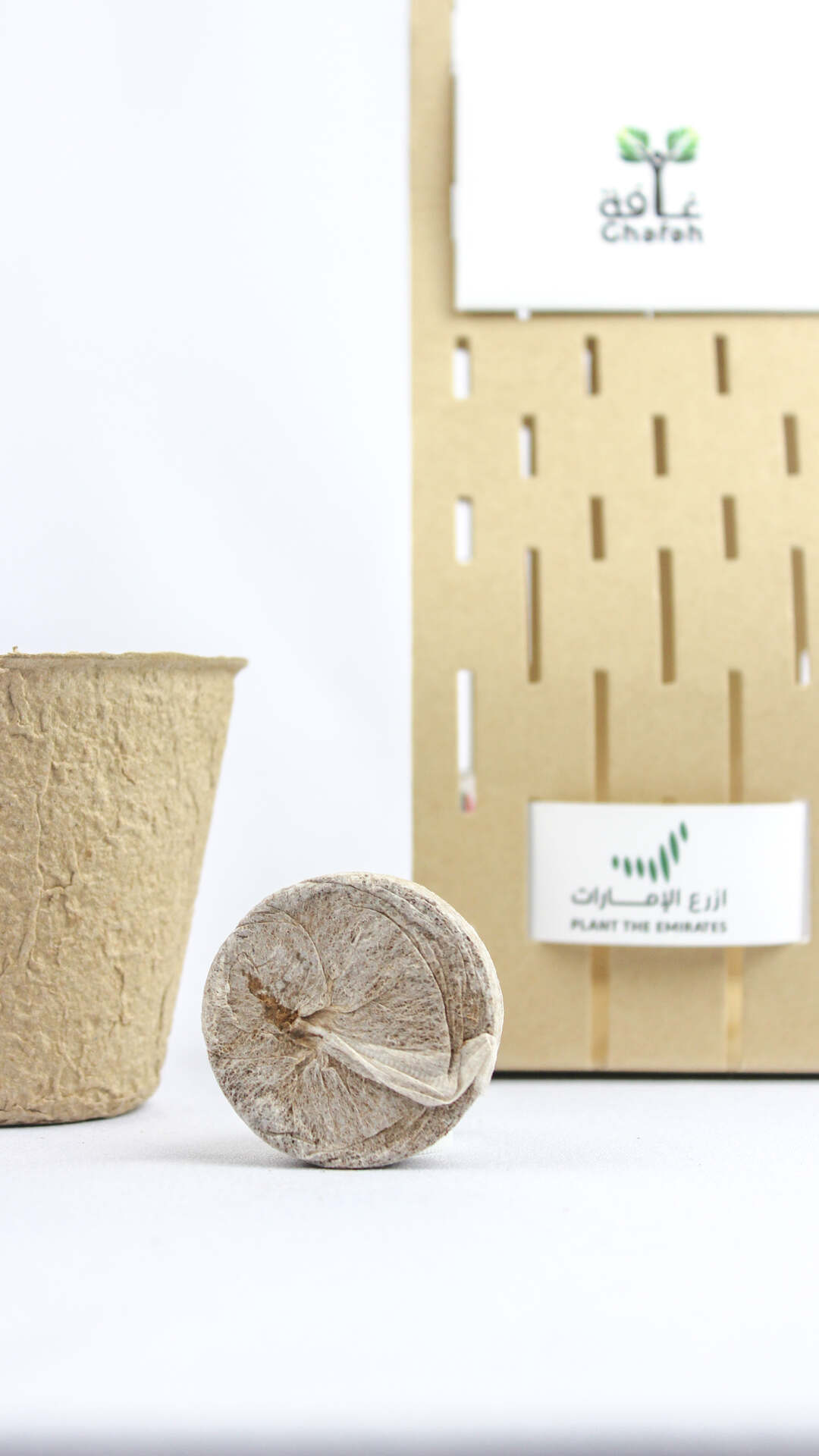 Ghafet Zayed - Sustainable Agricultural Gift Set with Ghaf Tree Seeds - Fun Learning Store