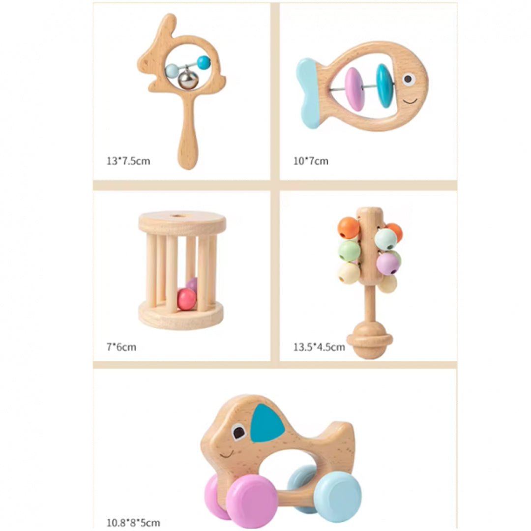 5 Pcs Sensory Toy for Infants - Fun Learning Store