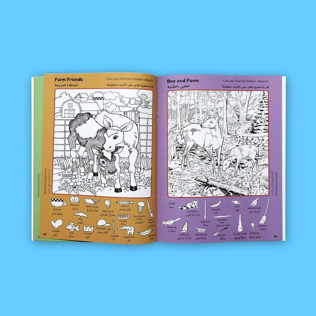 Hidden Pictures Series: The Ultimate 4 - Book Activity Collection - Fun Learning Store