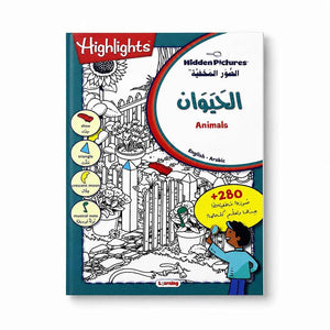 Hidden Pictures Series: The Ultimate 4 - Book Activity Collection - Fun Learning Store