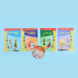 Human Anatomy Museum Model – 137 - Piece Educational Tool for Kids and Students - Fun Learning Store