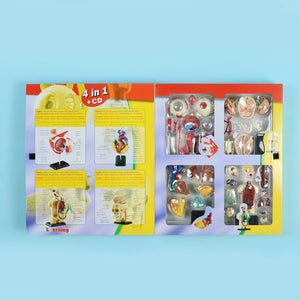 Human Anatomy Museum Model – 137 - Piece Educational Tool for Kids and Students - Fun Learning Store