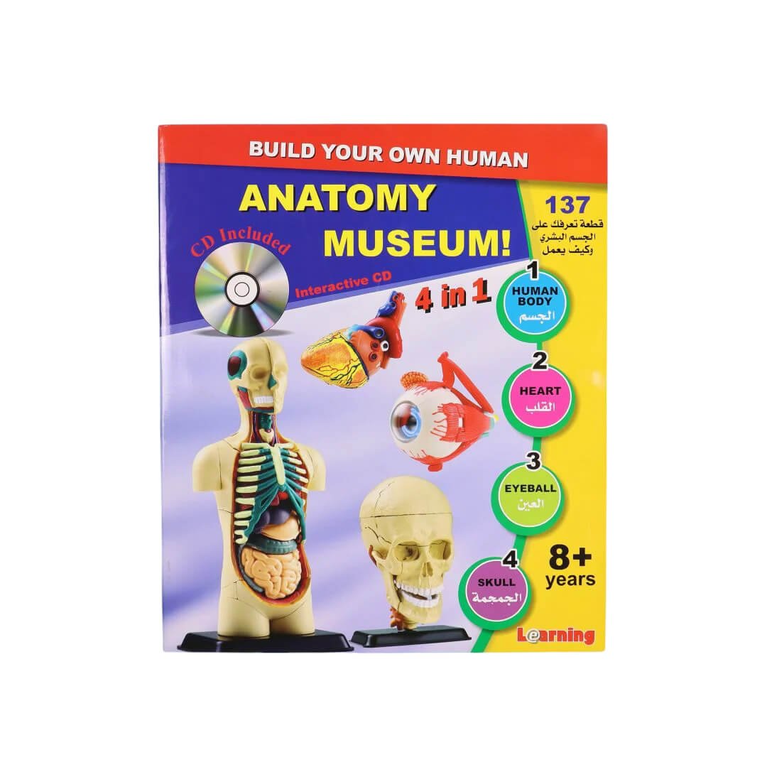 Human Anatomy Museum Model – 137 - Piece Educational Tool for Kids and Students - Fun Learning Store