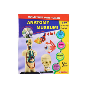 Human Anatomy Museum Model – 137 - Piece Educational Tool for Kids and Students - Fun Learning Store