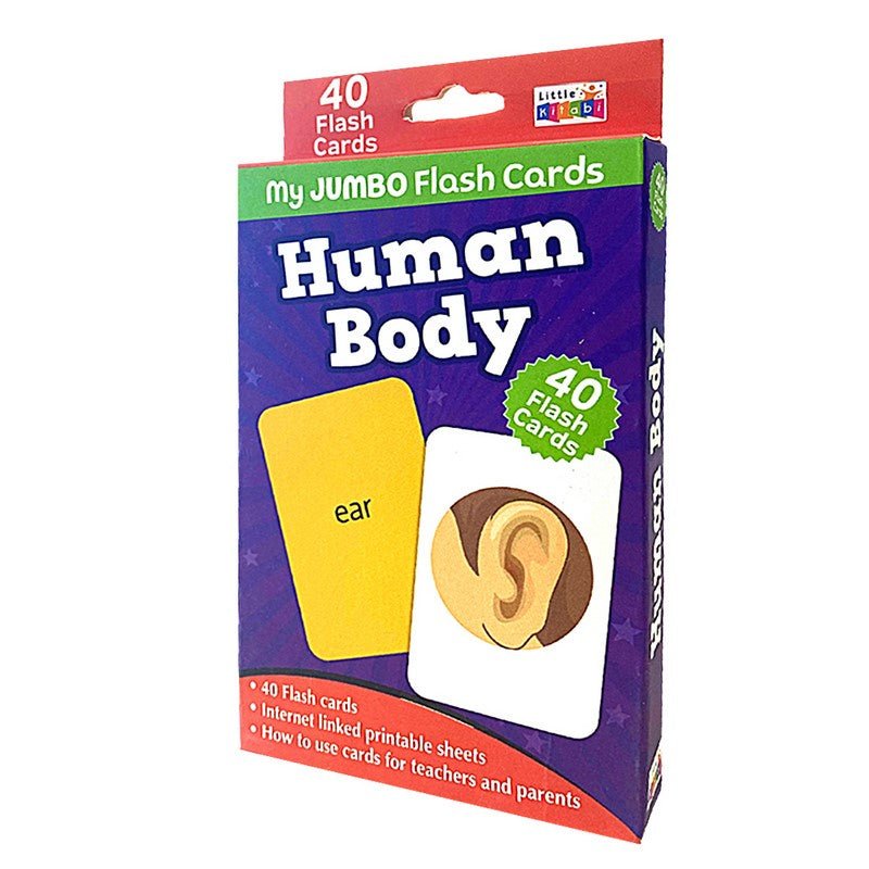 Human Body Educational Flash Cards - 40 Cards - Fun Learning Store