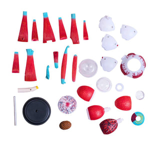 Human Eyeball Model – See the Wonders of Vision Up Close! - Fun Learning Store