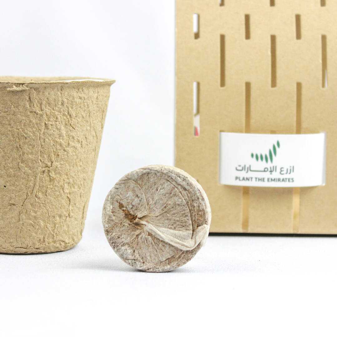 Ghafet Zayed - Sustainable Agricultural Gift Set with Ghaf Tree Seeds