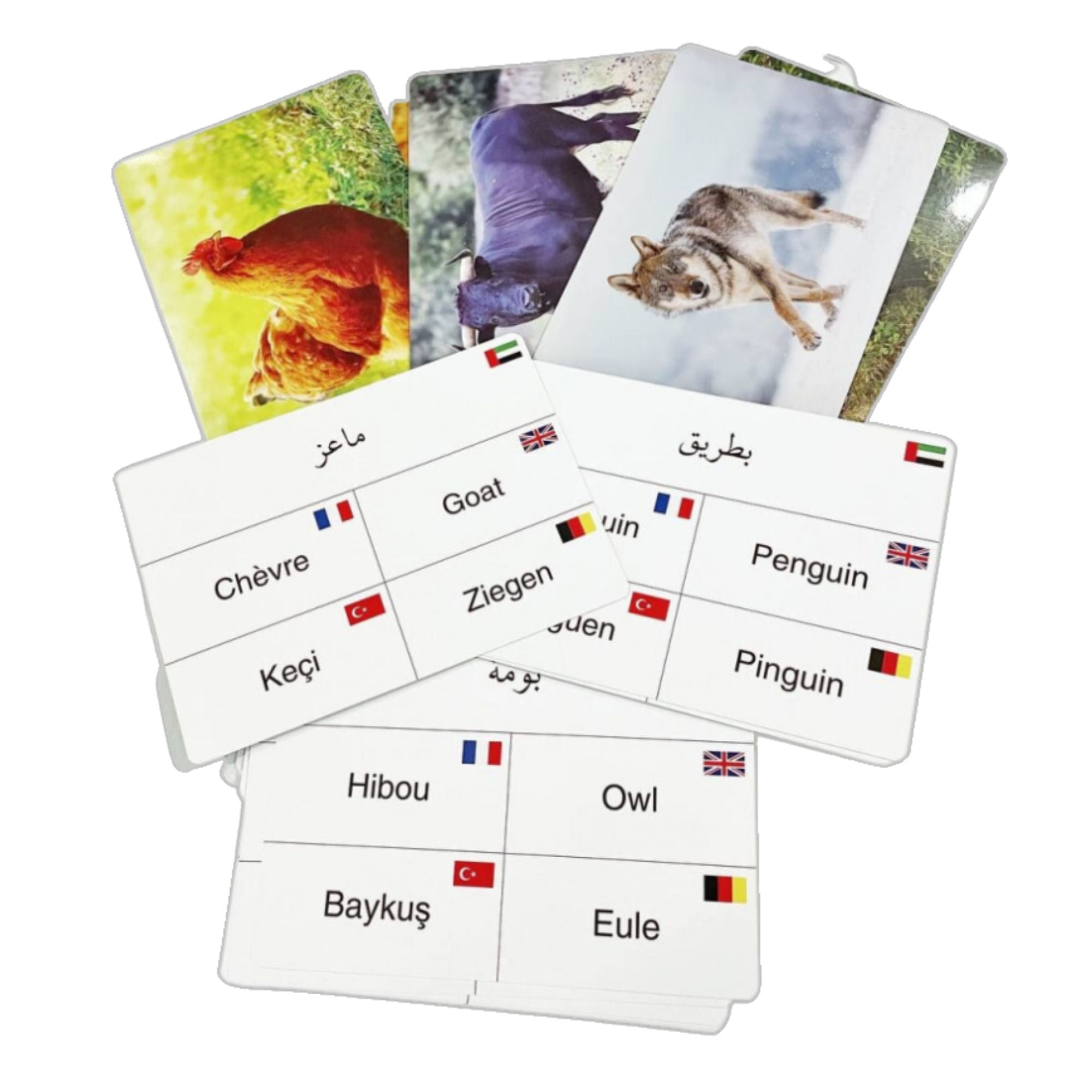 Implicit Cards: Animals in 5 Languages - Fun Learning Store