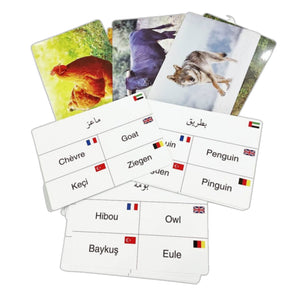 Implicit Cards: Animals in 5 Languages - Fun Learning Store