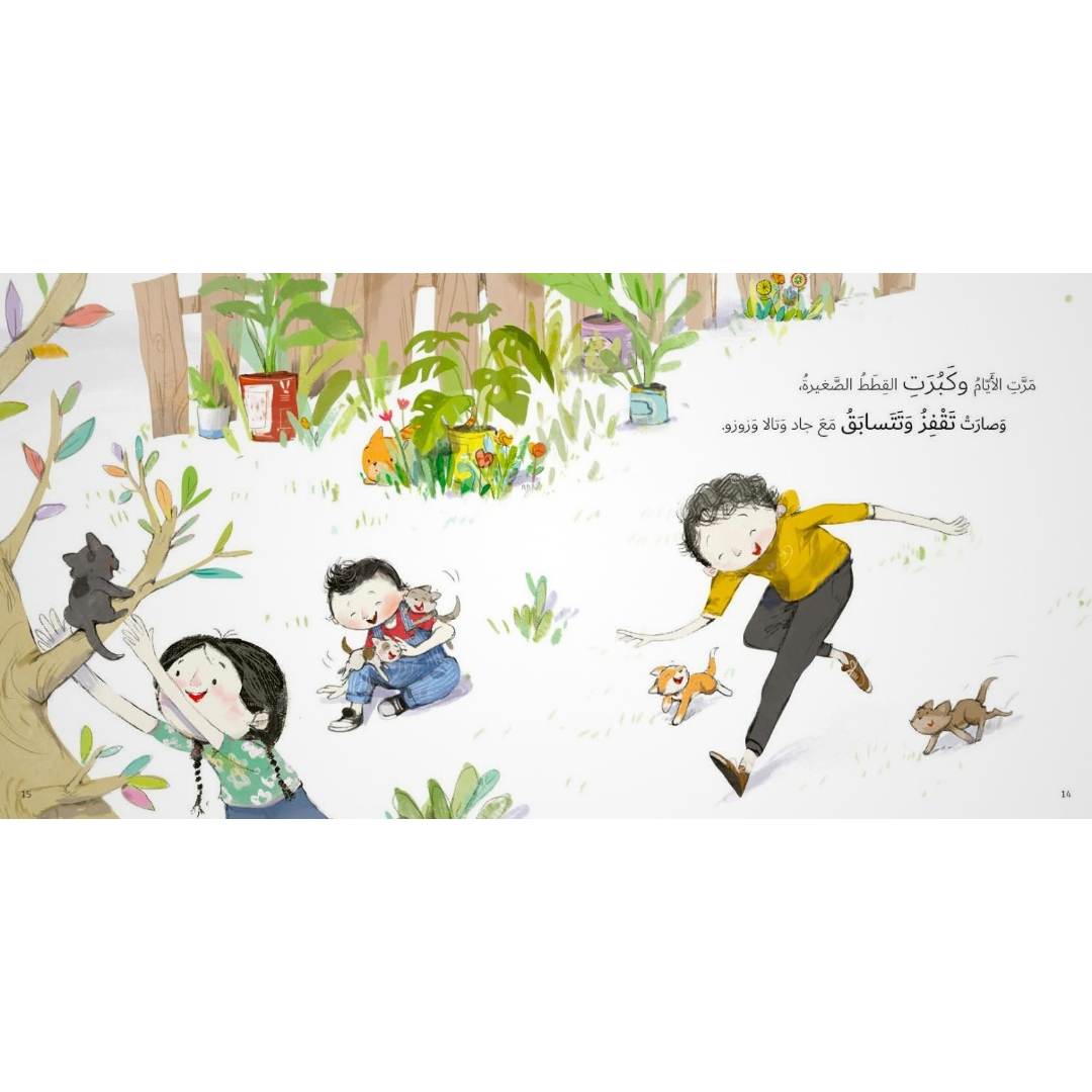 Jad and Tala - Five Naughty Kittens Storybook – A Heartwarming Tale of Kindness - Fun Learning Store