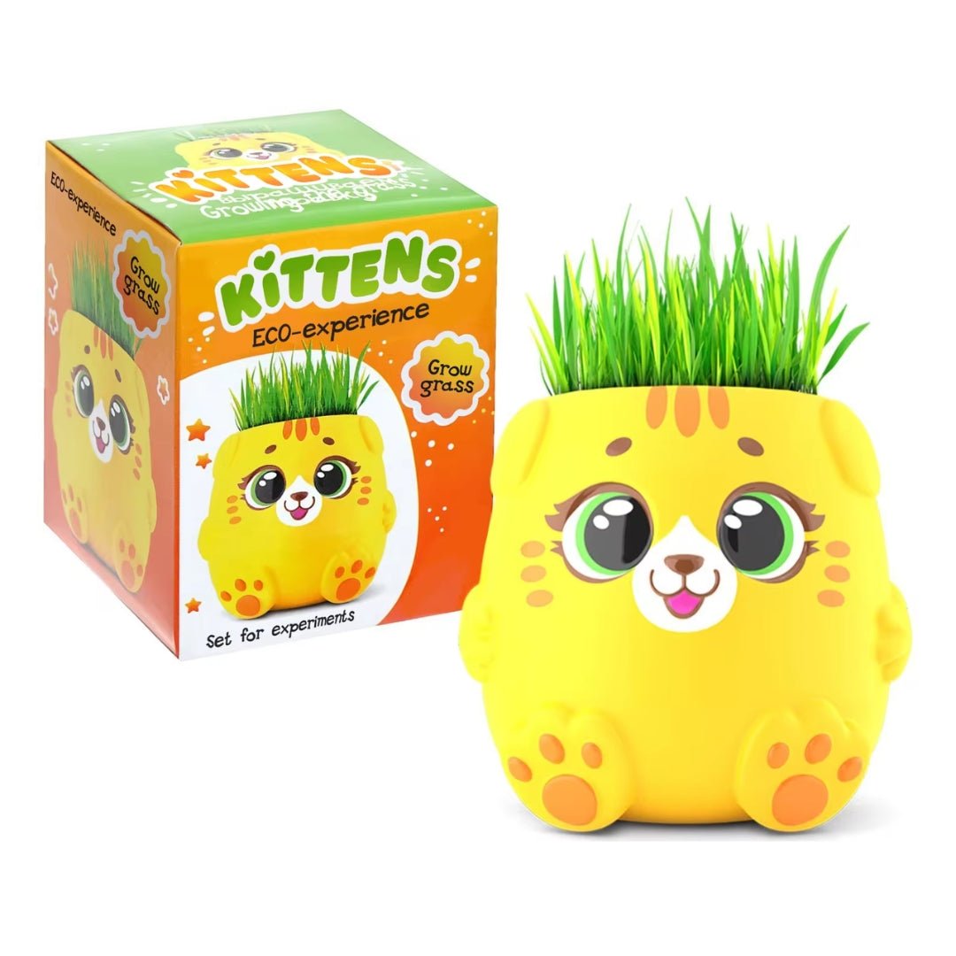 Grass Growing Experiments Set for Kids - Fun Learning Store