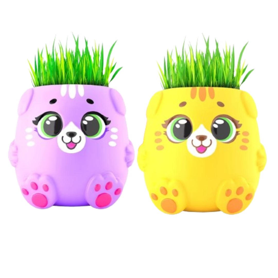 Grass Growing Experiments Set for Kids - Fun Learning Store