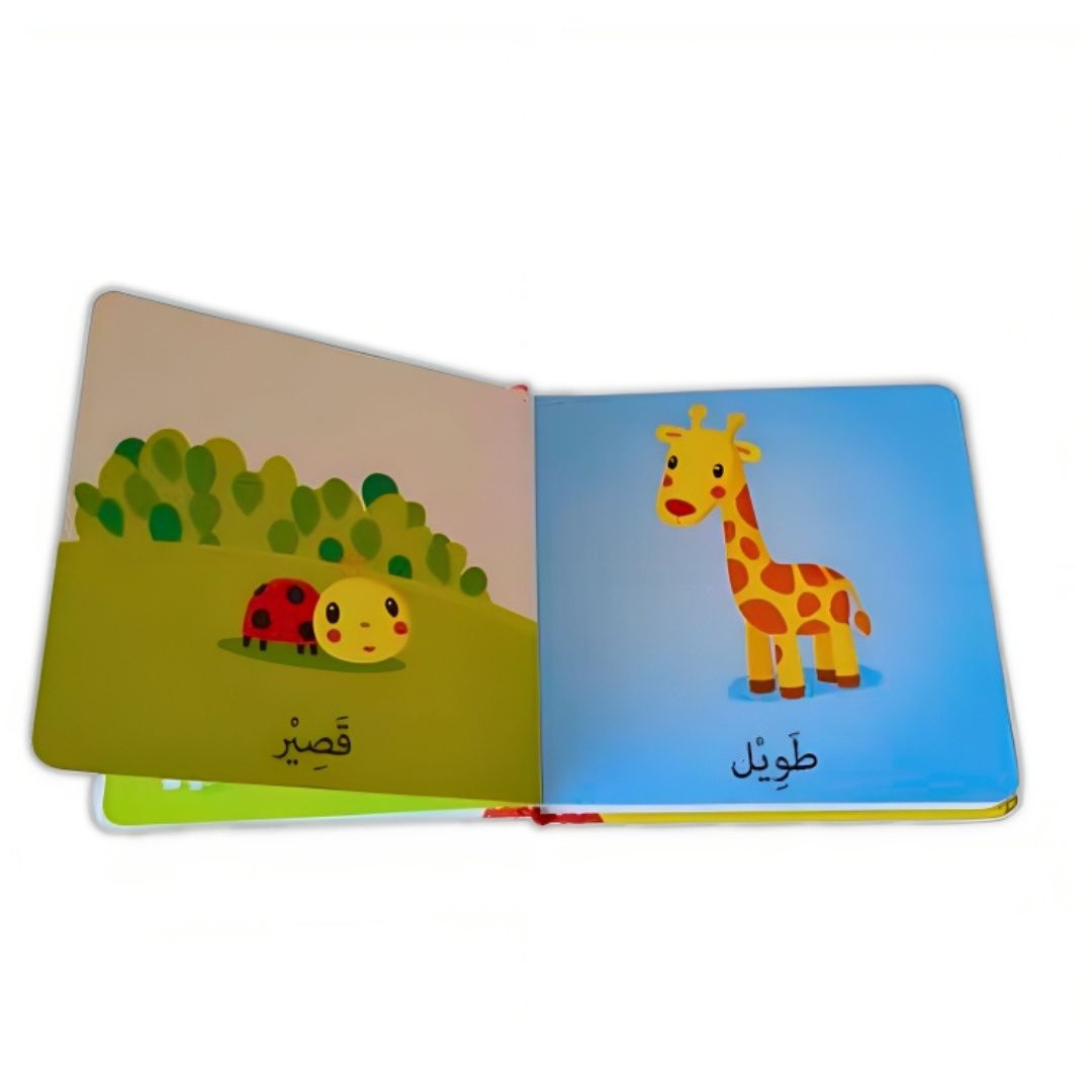 Words and Pictures Book for kids - Shapes and Colors