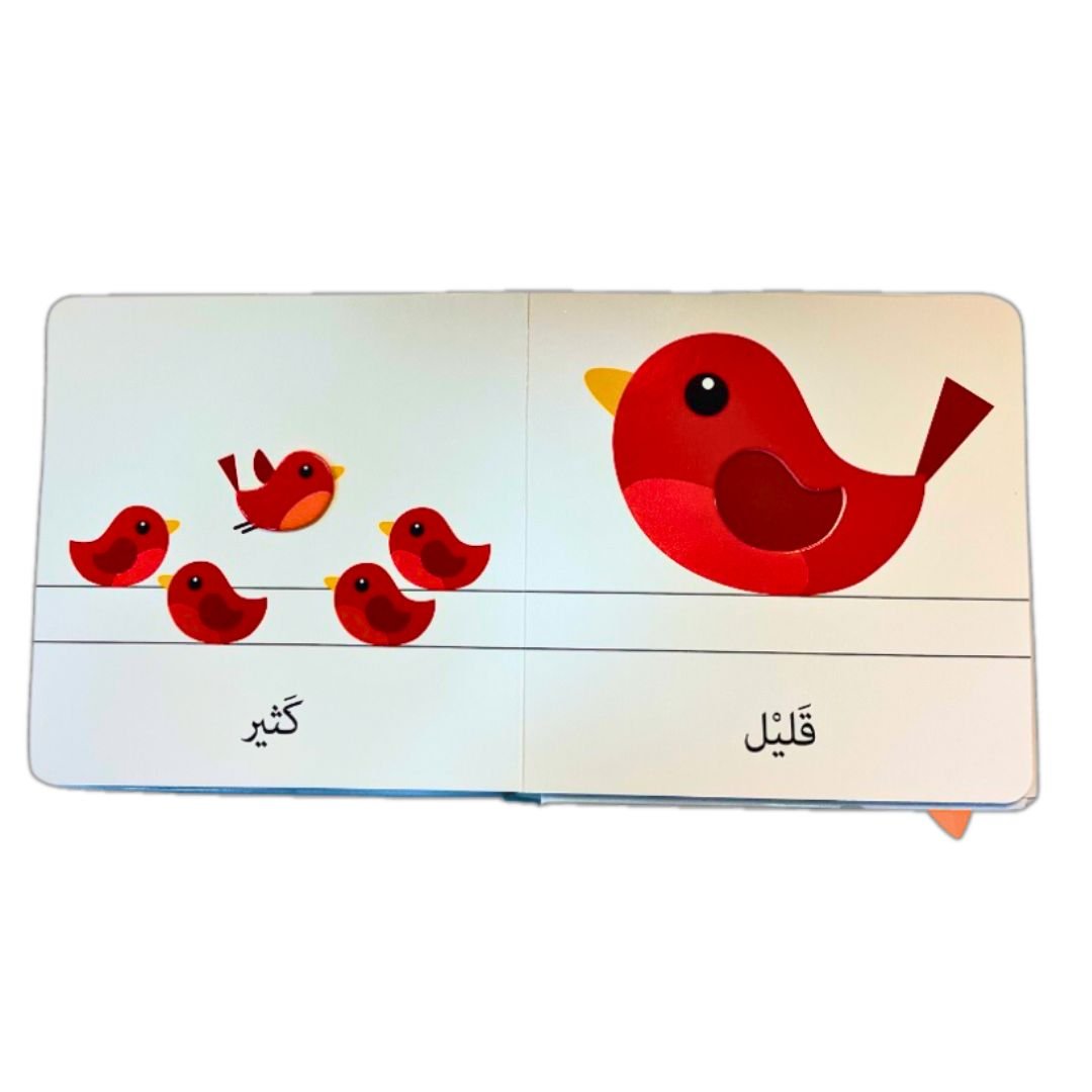 Little Children's Discoveries - opposites - Arabic - Fun Learning Store