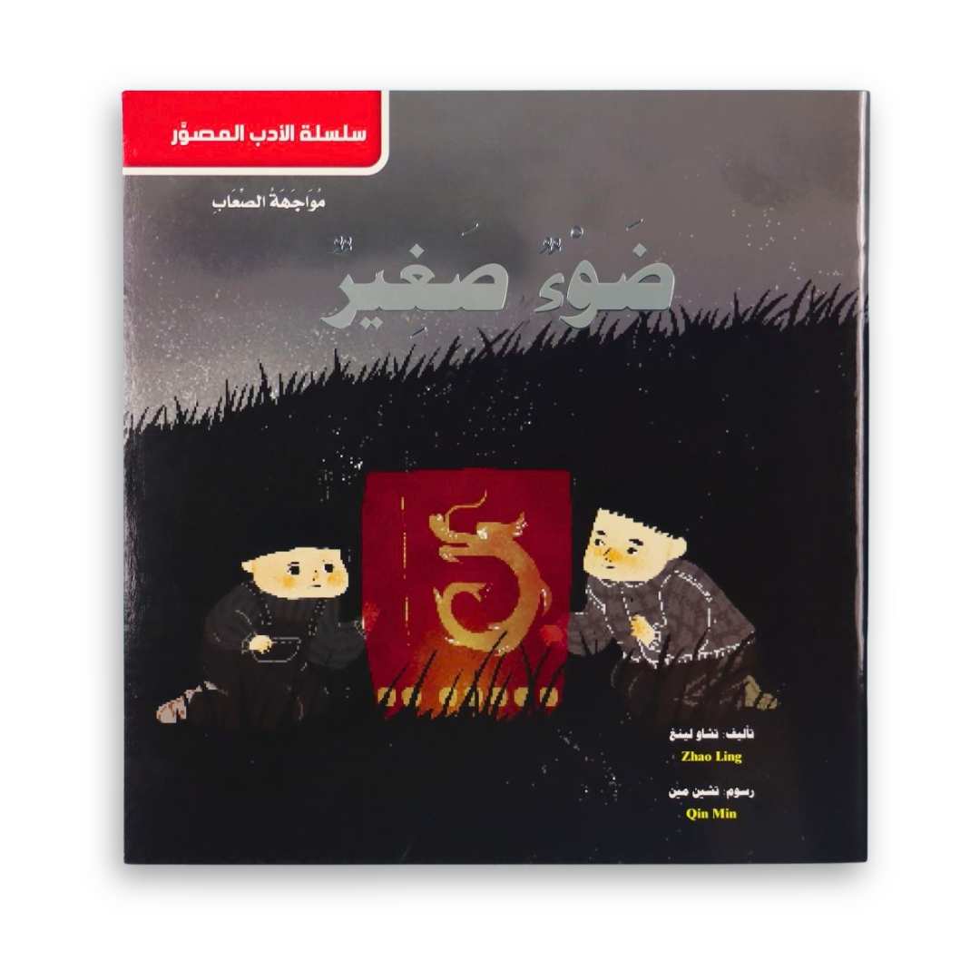 Little Light — Illustrated Literature Series - Fun Learning Store