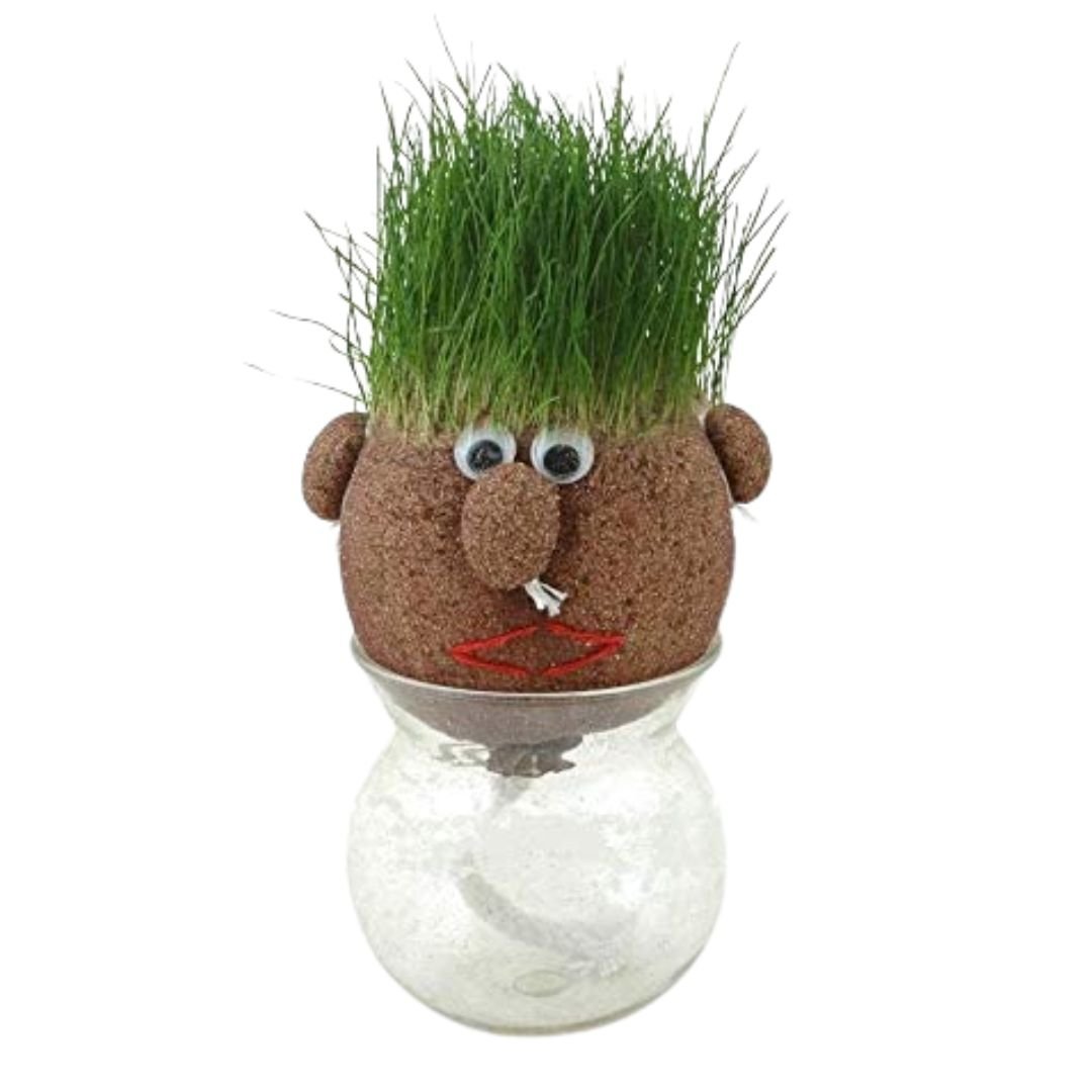 Magic Growing Grass Head DIY Craft - Fun Learning Store