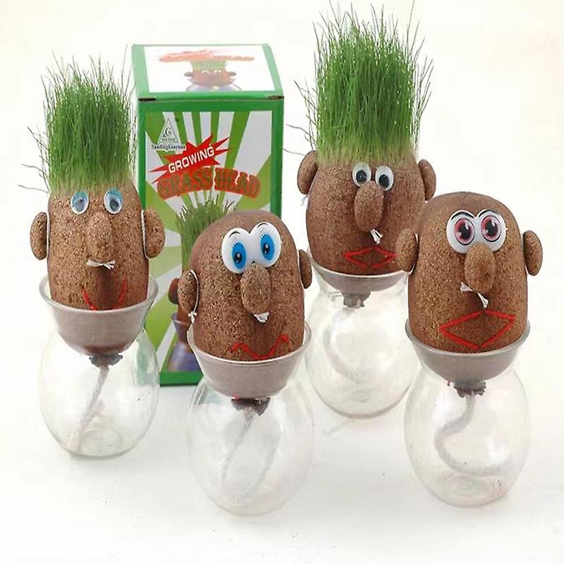 Magic Growing Grass Head DIY Craft - Fun Learning Store